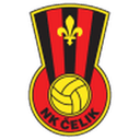 Čelik