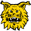 Ilves