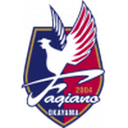 Fagiano Okayama