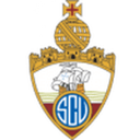 Vianense